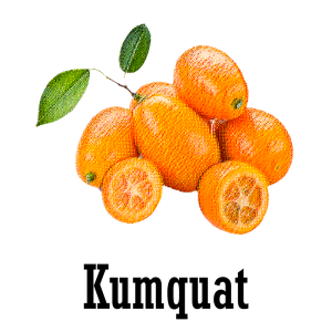 Kumquat